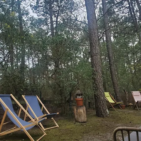 בית נופש Maison Maubuisson Et Ocean