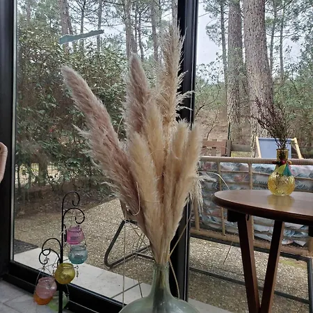 Maison Maubuisson Et Ocean