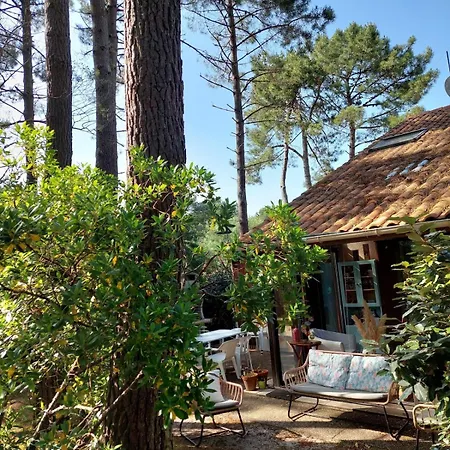 Maison Maubuisson Et Ocean Holiday home