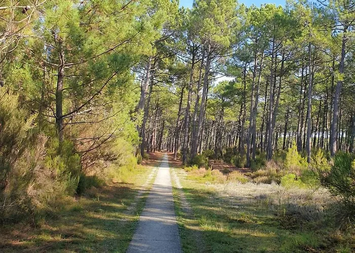 Сasa de vacaciones Maison Maubuisson Et Océan Carcans