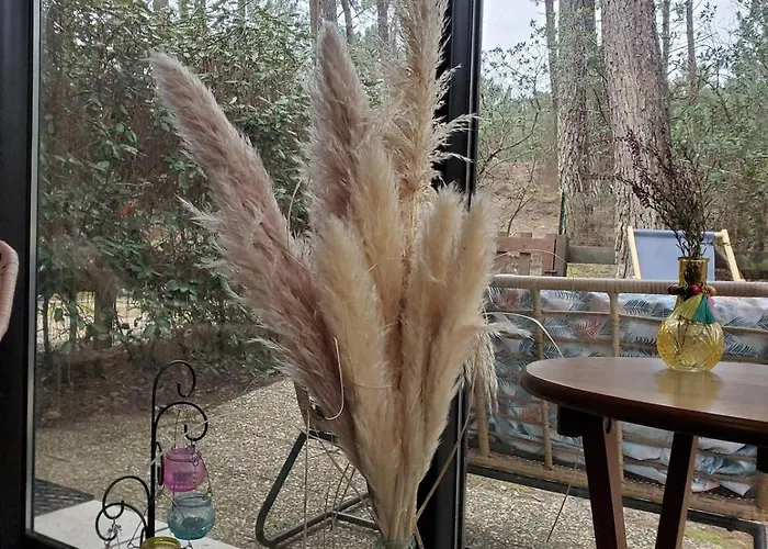 Maison Maubuisson Et Océan