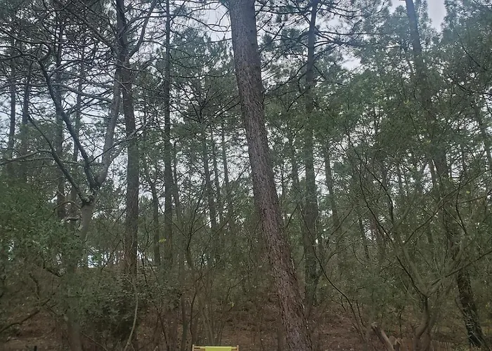 Maison Maubuisson Et Océan